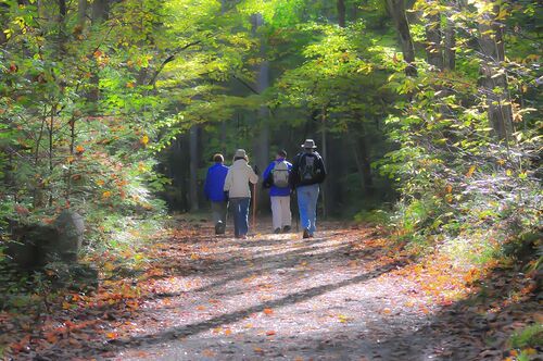 hiking-1232453-1280 / pixabay/Mickey Estes