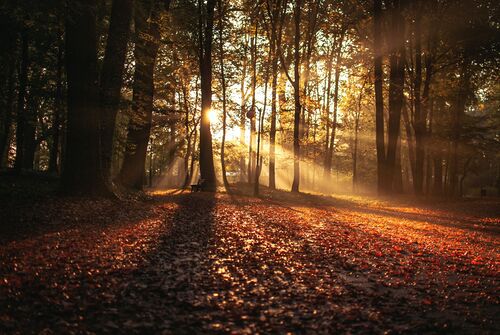 Foto von Erik Witsoe auf Unsplash