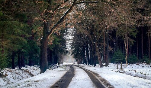 Foto von Roy Post: https://www.pexels.com/de-de/foto/fotografie-der-strasse-wahrend-der-wintersaison-760971/