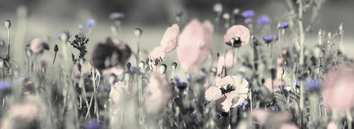 wolfgang rieger - Adobe Stock