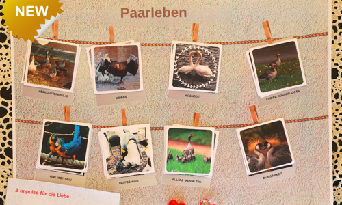 wilma.loitz/kbw.vorarlberg